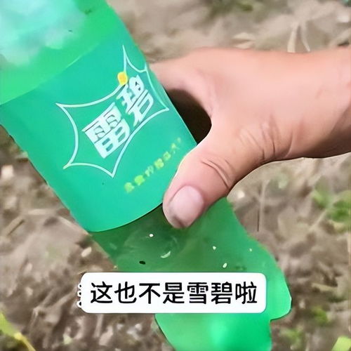 雪碧還是“雪碧”？岳陽外婆誤購“李鬼”飲料引發笑談