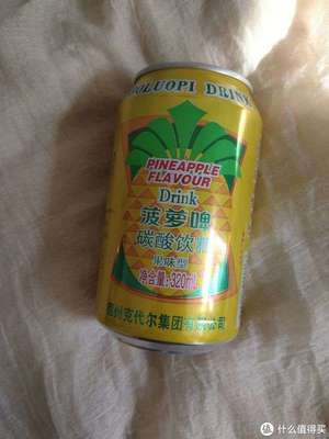 美味嘉年華 篇十五 開車聚會也能暢飲，健康無負(fù)擔(dān)的菠蘿小飲料