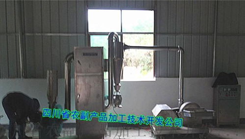 顆粒藕粉、速溶藕粉及復合藕粉設備的技術開發與應用